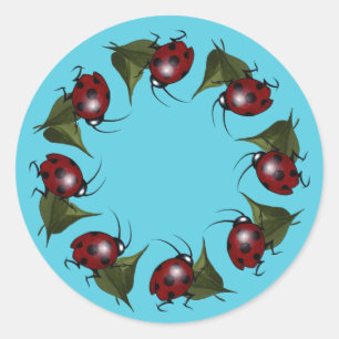 Autocollants d'anneau de coccinelle