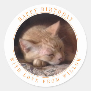 AUTOCOLLANTS D'ANNIVERSAIRE RONDS GRANDS POUR ANIM