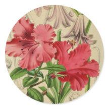Autocollants d'art botanique rose antique de style