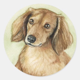 Autocollants d'art de chien "de teckel aux cheveux