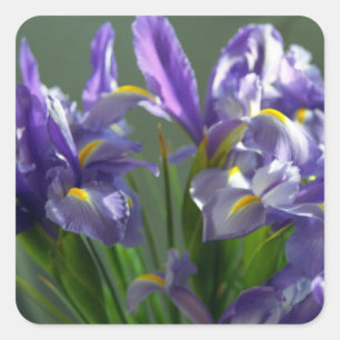 Autocollants d'art floral Irises violet