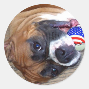 Autocollants de boîte