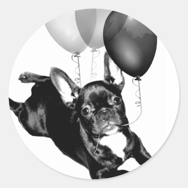 Autocollants de bouledogue français d'anniversaire (Devant)