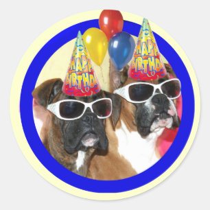 Autocollants de boxeurs de joyeux anniversaire