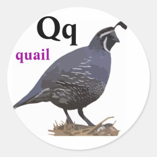 Autocollants de cailles de la lettre Q