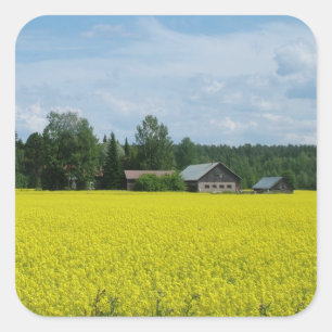 Autocollants de campagne finlandais