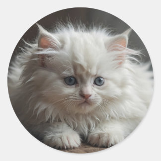 Autocollants de chat