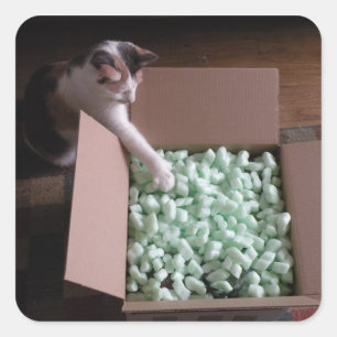 Autocollants de chat d'emballage