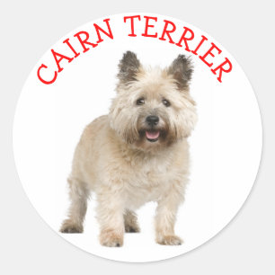 Autocollants de chien chiot d'amour Terrier Cairn