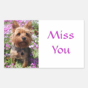 Autocollants de chien chiot Yorkshire Terrier Tu M
