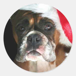 Autocollants de chien de boxeur de Noël
