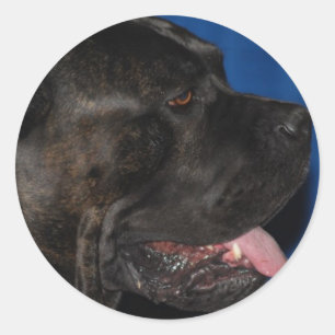 Autocollants de chien de Corso de canne