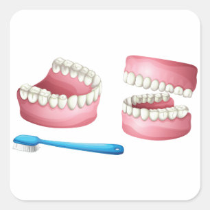 Autocollants de dentiers