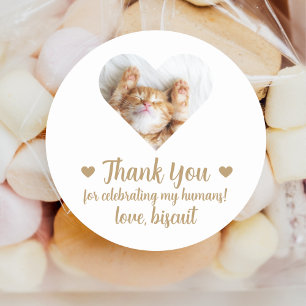 Autocollants de faveur de mariage de chat de photo