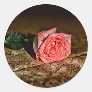 Autocollants de fermeture rose