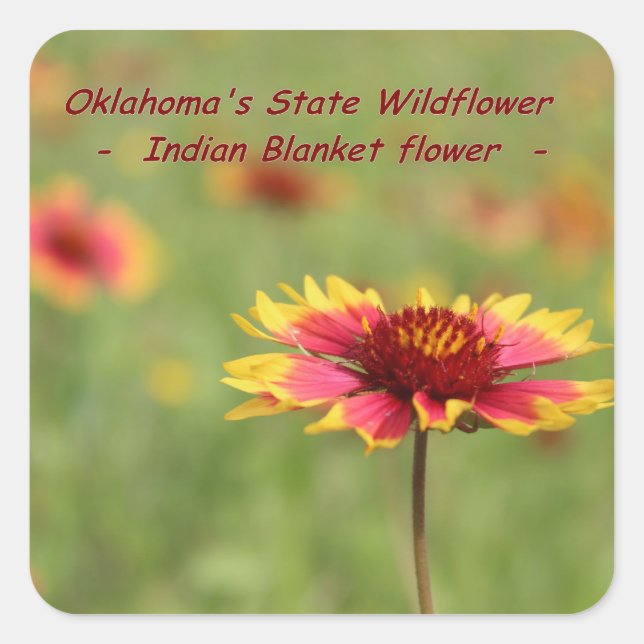Autocollants de fleurs d'État de l'Oklahoma (Devant)