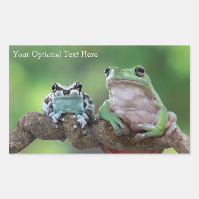 Autocollants de grenouille à texte personnalisé (Devant)