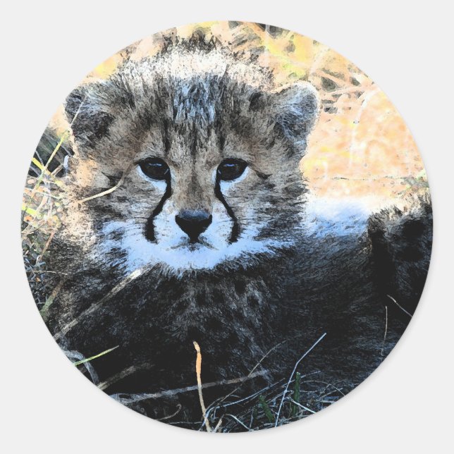 Autocollants de guépard (Devant)