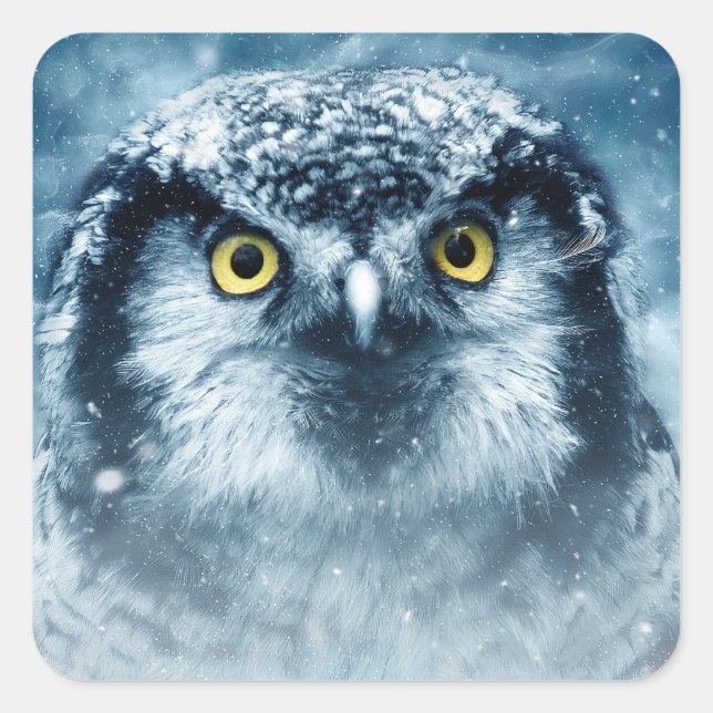 autocollants de hibou d'hiver (Devant)