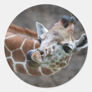 Autocollants de langue de girafe
