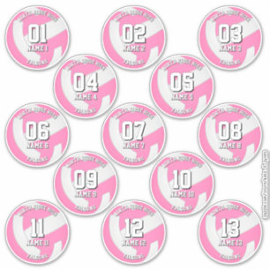 autocollants de l'équipe de volley-ball rose des f