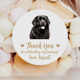 Autocollants de mariage personnalisés pour chien d