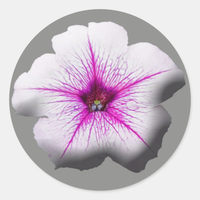 Autocollants de mariage Petunia Floral (Devant)