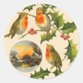 Autocollants de Noël aux oiseaux de Victoria