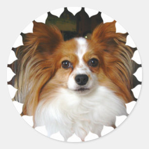 Autocollants de Papillon