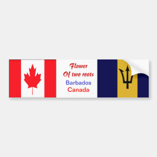 Autocollants de pare-chocs Bajan-canadien