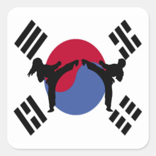 Autocollants de rectangle de joueurs du Taekwondo