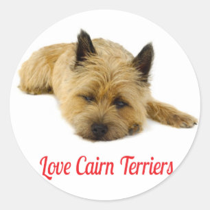 Autocollants de salutation Chien chiot Terrier Cai