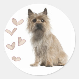 Autocollants de salutation Chien chiot Terrier Cai