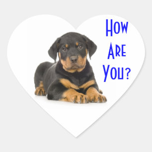 Autocollants de salutation pour chiot Rottweiler