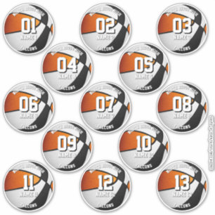 autocollants d'équipe de basketball orange noir 13