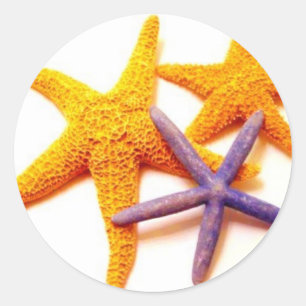 Autocollants d'étoiles de mer d'été