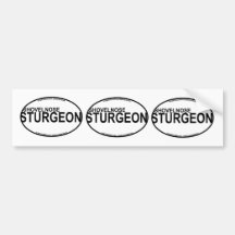 Autocollants d'euro d'esturgeon de Shovelnose