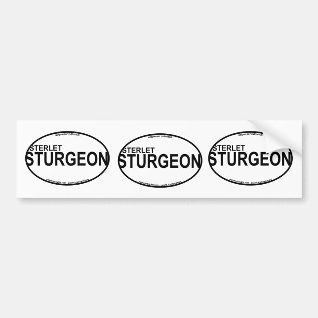 Autocollants d'euro d'esturgeon de Sterlet (Devant)