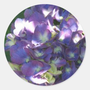 Autocollants d'hortensia
