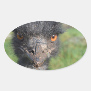 Autocollants d'oiseau d'émeu