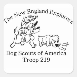 Autocollants DSA Troop 219