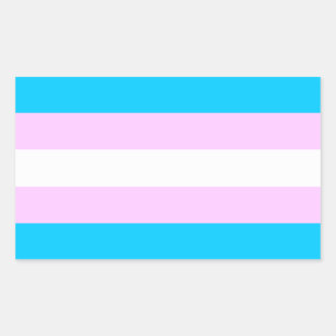 Autocollants du drapeau de la Tête trans