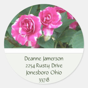 Autocollants floraux roses d'adresse