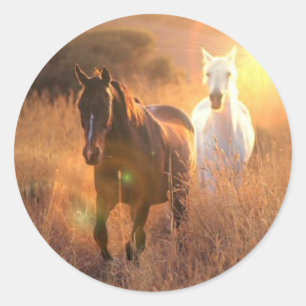 Autocollants galopants de chevaux sauvages
