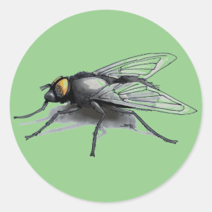 autocollants grand rond vert Fly Buddy