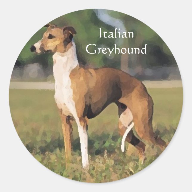 Autocollants Greyhound italiens (Devant)