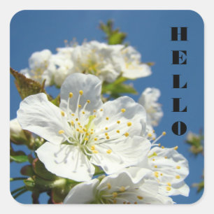 autocollants HELLO Ciel Bleu Floraison Cerisier