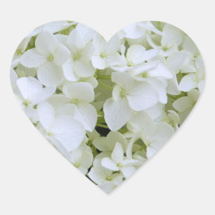 Autocollants - Hydrangea blanche