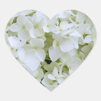 Autocollants - Hydrangea blanche