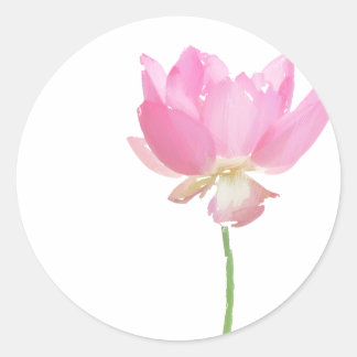 Autocollants Lotus peint en rose